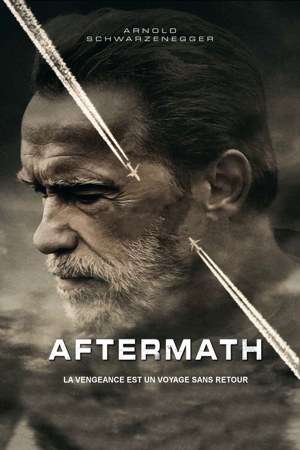 Aftermath FRENCH HDLight 1080p 2016